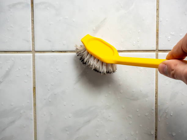 Best Mold Removal Company Near Me  in Randolph, WI
