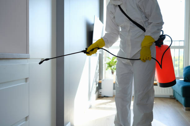 Best Residential Mold Removal  in Randolph, WI