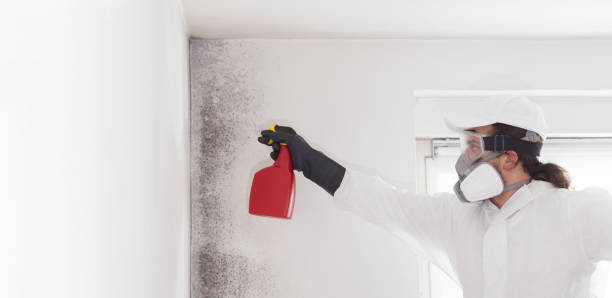 Best Water Damage Restoration  in Randolph, WI